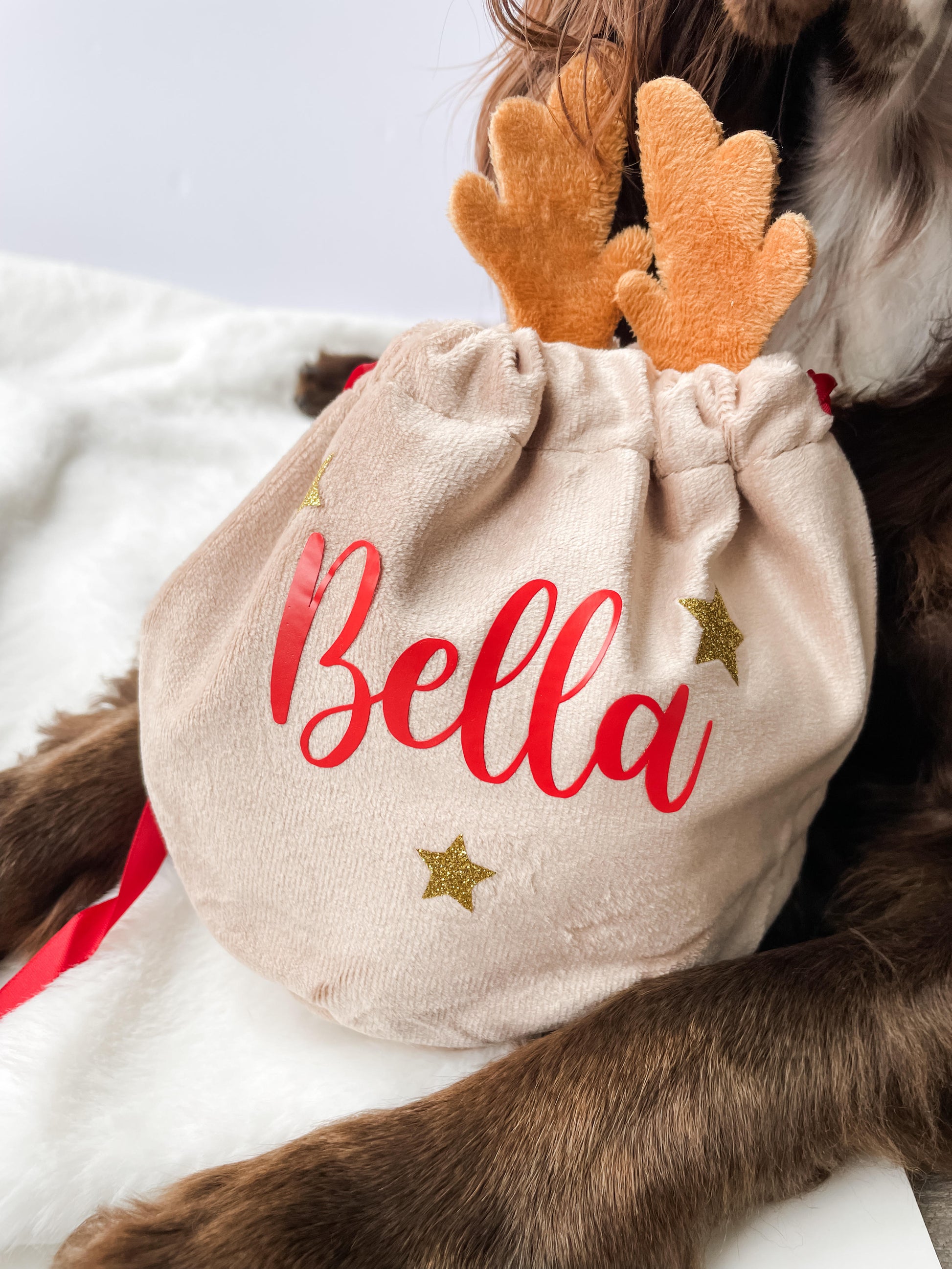 Dog Christmas Gift, Dog Christmas Treat Bag