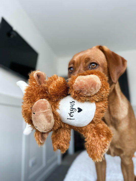 Personalised Dog Toy