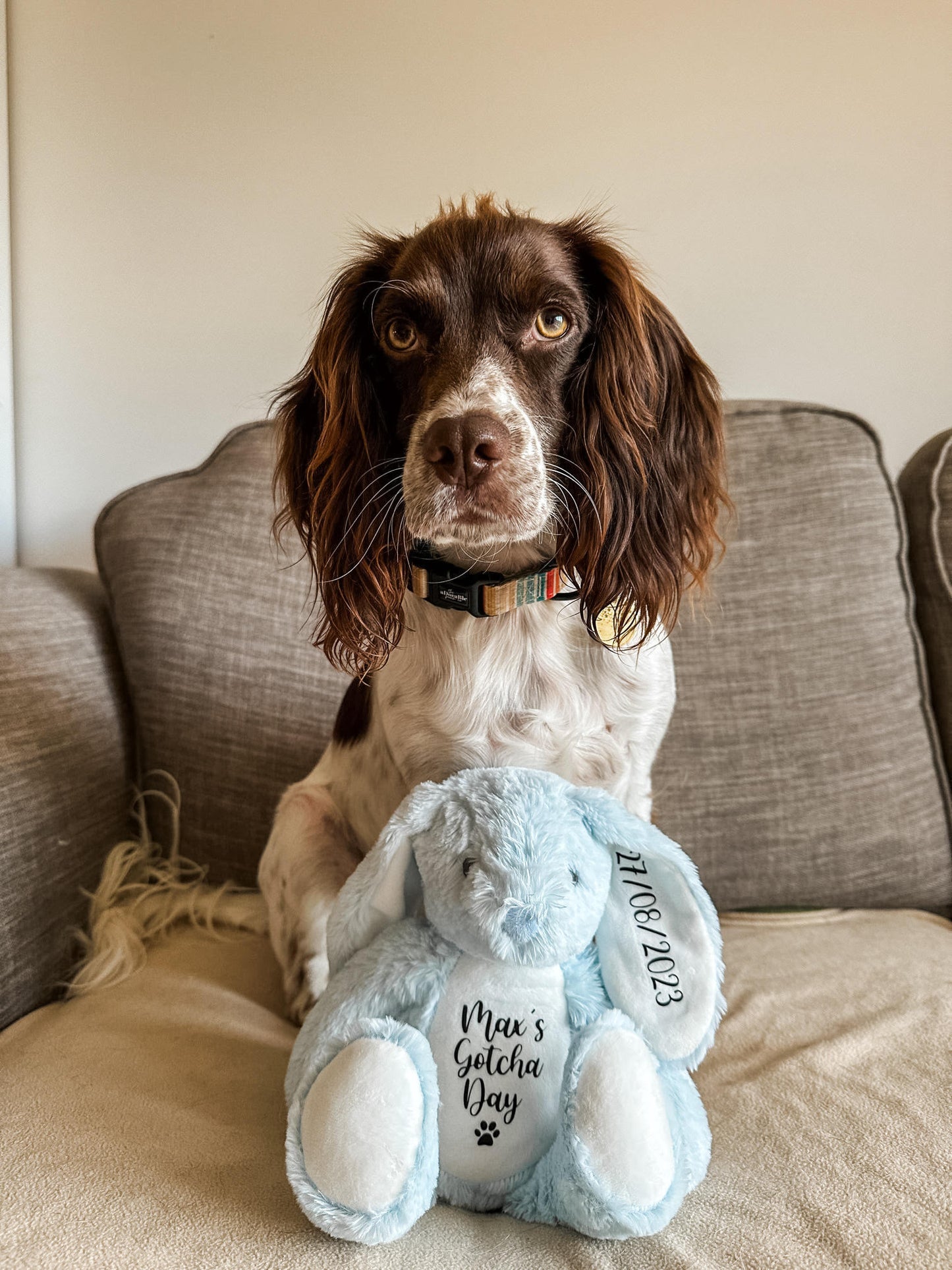 Dog Gotcha Day Gift